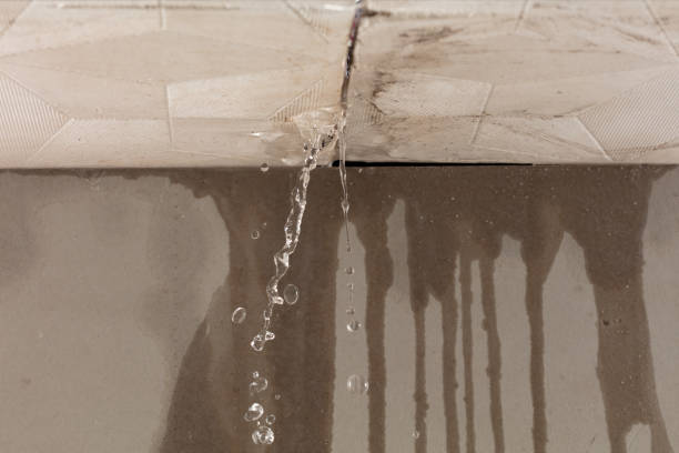 Professional Water Damage Repair technician working in Kyle, TX